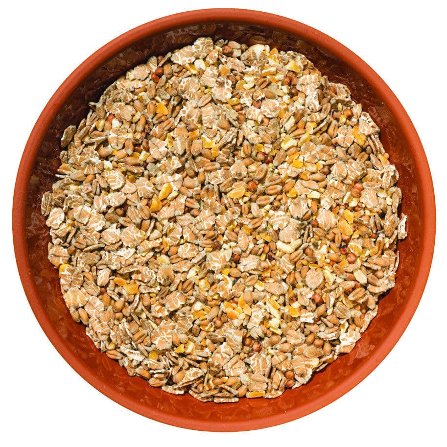 Everyday No Mess Wild Bird Seed Mix - 1.8kg