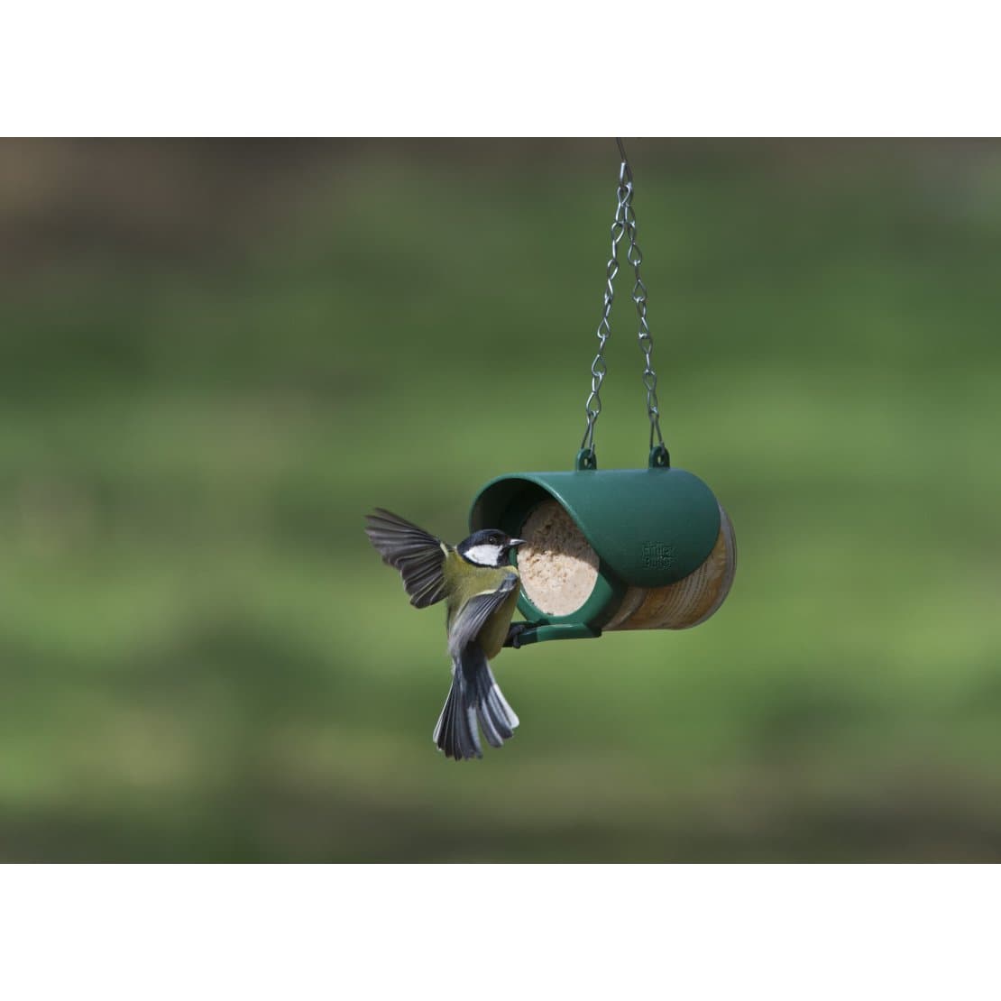 Flutter Butter Feeder for Pods or Jars