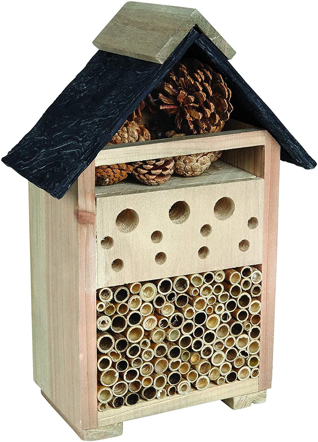 Bee and Bug House