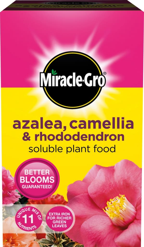 Azalea, Camellia & Rhododendron Soluble Plant Food