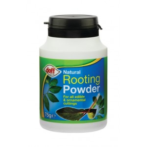 Vitax Organic Rooting Powder