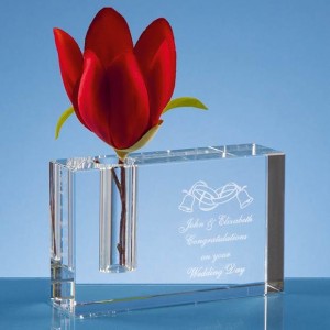 Crystal Galleries 12cm Optical Crystal Rectangle Bud Vase