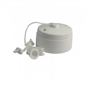 Jegs 5 Amp 2-Way Ceiling Pull Switch