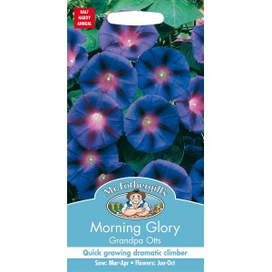 Mr.Fothergill's Morning Glory Grandpa Otts Flower Seeds