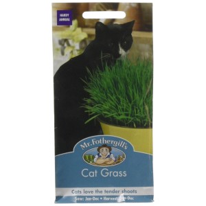 Mr.Fothergill's Cat Grass Seeds 25g