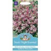 Mr.Fothergill's Stock Night Scented Flower Seeds