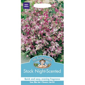 Mr.Fothergill's Stock Night Scented Flower Seeds