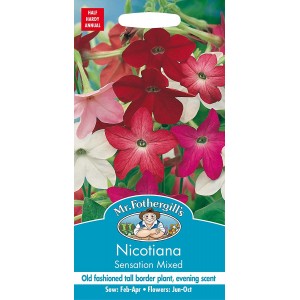 Mr.Fothergill's Nicotiana Sensation Mixed Flower Seeds