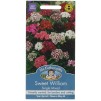 Mr.Fothergill's Sweet William Single Mixed Flower Seeds