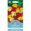 Mr.Fothergill's Wallflower Dwarf Bedding Mixed Flower Seeds