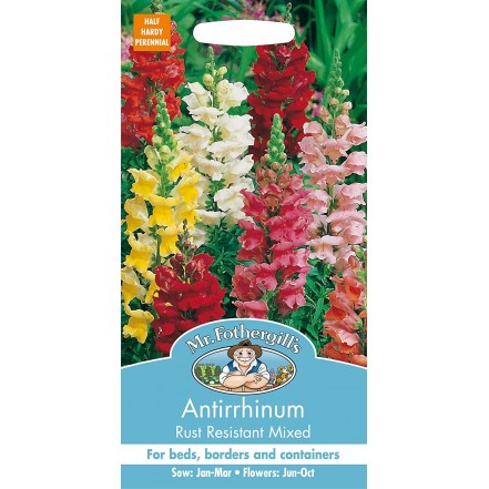 Mr.Fothergill's Antirrhinum Rust Resistant