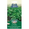 Mr.Fothergill's Parsley Plain Leaf 2 Herb Seeds