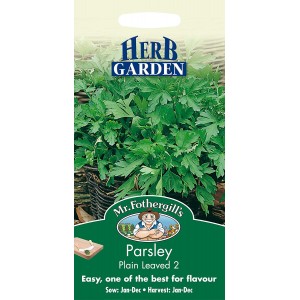 Mr.Fothergill's Parsley Plain Leaf 2 Herb Seeds