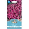 Mr.Fothergill's Aubrietia Rich Rose Flower Seeds