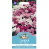 Mr.Fothergill's Candytuft Fairy Mixed Flower Seeds