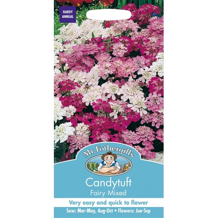 Mr.Fothergill's Candytuft Fairy Mixed Flower Seeds