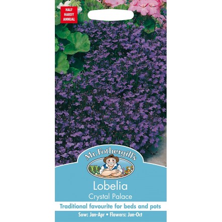 Mr.Fothergill's Lobelia Crystal Palace Flower Seeds