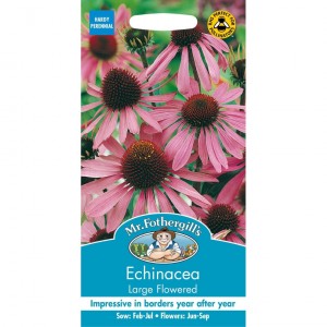 Mr.Fothergill's Echinacea Large Flowered
