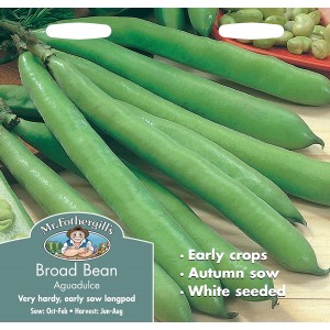 Mr.Fothergill's Broad Bean Aguadulce Seeds