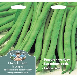 Mr.Fothergill's Dwarf Bean Tendergreen Seeds