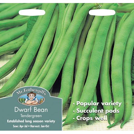 Mr.Fothergill's Dwarf Bean Tendergreen Seeds