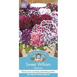 Mr.Fothergill's Sweet William Electron
