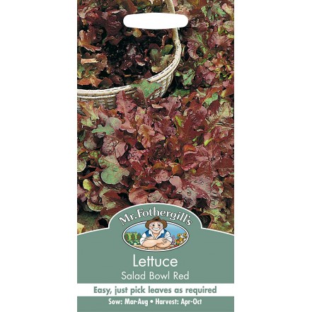 Mr.Fothergill's Lettuce Salad Bowl Red Seeds