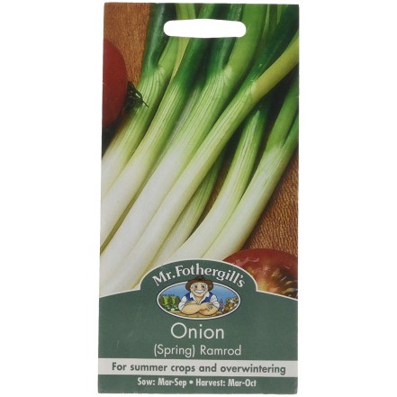 Mr.Fothergill's Spring Onion Ramrod Seeds