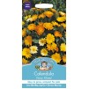 Mr.Fothergill's Calendula Daisy Mixed Flower Seeds