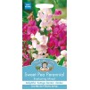 Mr.Fothergill's Sweet Pea Perennial Flower Seeds