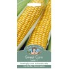 Mr.Fothergill's Sweet Corn Swift F1 Seeds