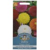 Mr.Fothergill's Dahlia Pompon Mixed Flower Seeds