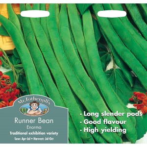 Mr.Fothergill's Runner Bean Enorma Seeds