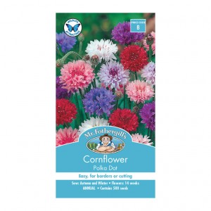 Mr.Fothergill's Cornflower Polka Dot