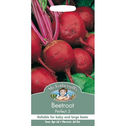 Mr.Fothergill's Beetroot Perfect 3 Seeds