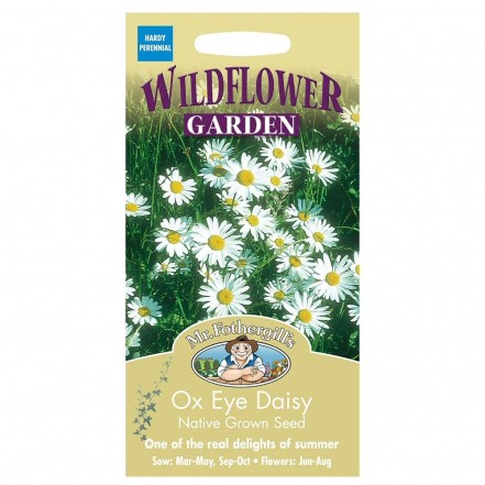 Mr.Fothergill's Wildflower Ox Eye Daisy