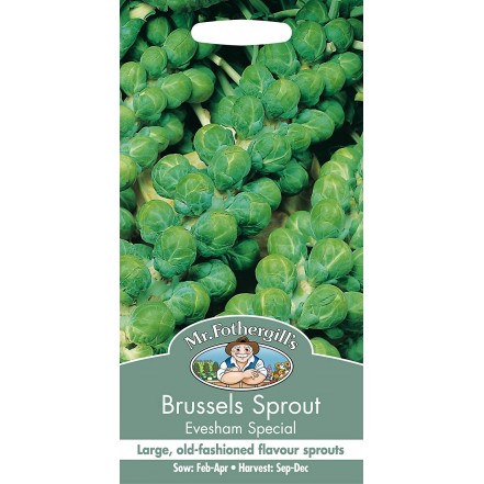 Mr.Fothergill's Brussels Sprout Evesham Special Seeds