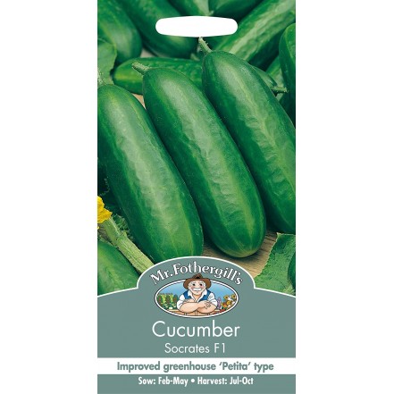 Mr.Fothergill's Cucumber Socrates F1 Seeds