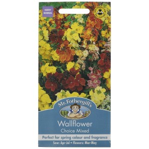 Mr.Fothergill's Wallflower Choice Mixed Flower Seeds