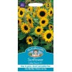 Mr.Fothergill's Sunflower Little Dorrit F1 Flower Seeds