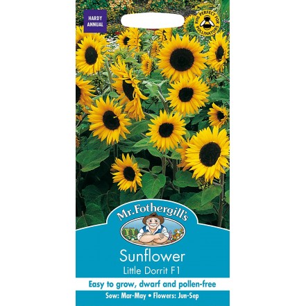 Mr.Fothergill's Sunflower Little Dorrit F1 Flower Seeds