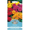 Mr.Fothergill's Dahlia Dwarf Double Mixed Flower Seed