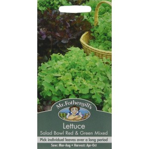 Mr.Fothergill's Lettuce Salad Bowl Red & Green