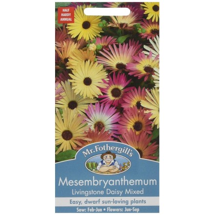 Mr.Fothergill's Mesembryanthemum Livings Daisy Flower Seeds