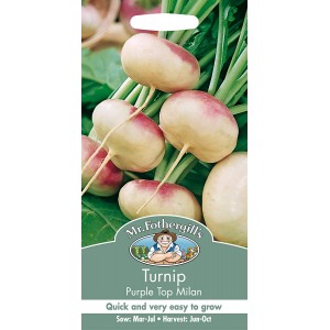 Mr.Fothergill's Turnip Purple Top Milan Seeds