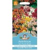 Mr.Fothergill's Antirrhinum Tom Thumb Mixed Flower Seeds