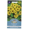 Mr.Fothergill's Sunflower Little Leo Flower Seeds