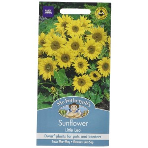 Mr.Fothergill's Sunflower Little Leo Flower Seeds