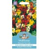 Mr.Fothergill's Wallflower Monarch Fair Lady Flower Seeds