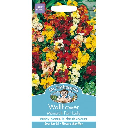 Mr.Fothergill's Wallflower Monarch Fair Lady Flower Seeds